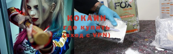 метадон Алексин