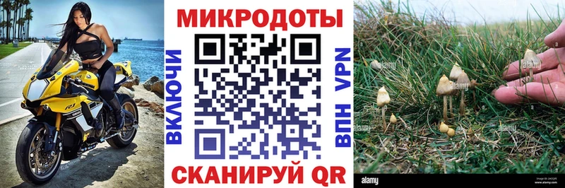 Галлюциногенные грибы MAGIC MUSHROOMS маркетплейс Telegram Оленегорск